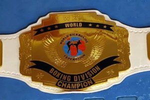 WKF BOXING / BKFC Champion belts